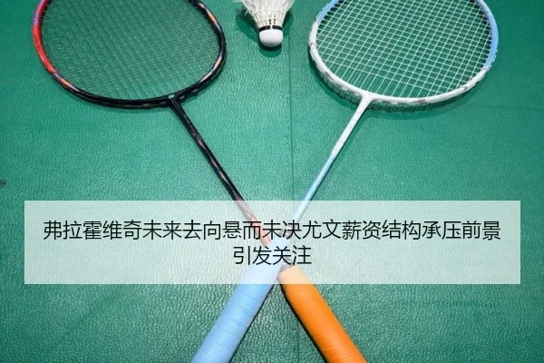 弗拉霍维奇未来去向悬而未决尤文薪资结构承压前景引发关注